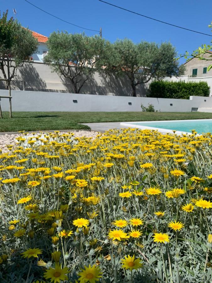 Вилла Tony'S House With Private Pool, Garden And Parking Задар Экстерьер фото